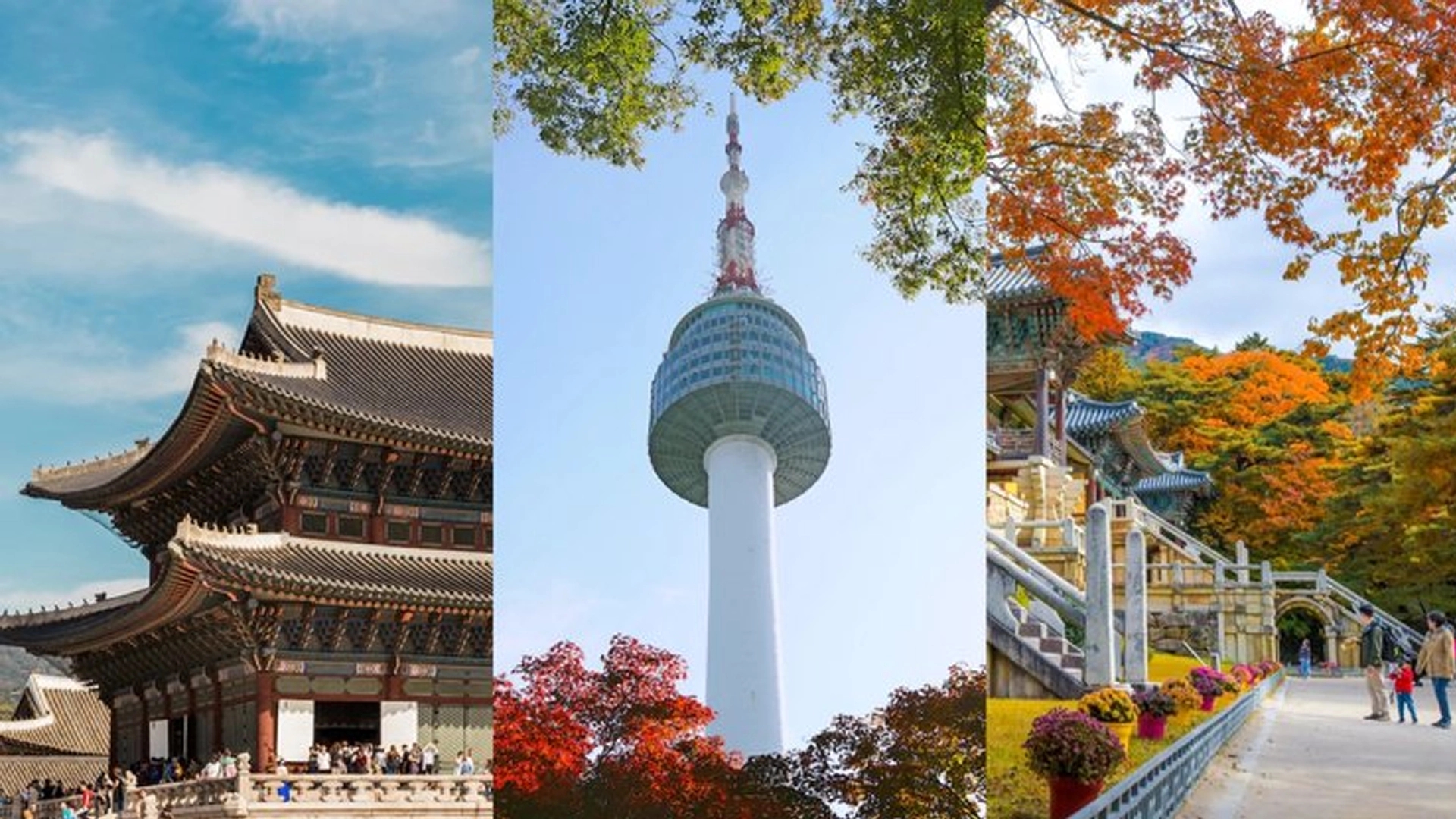 تور ژاپن و کره جنوبی