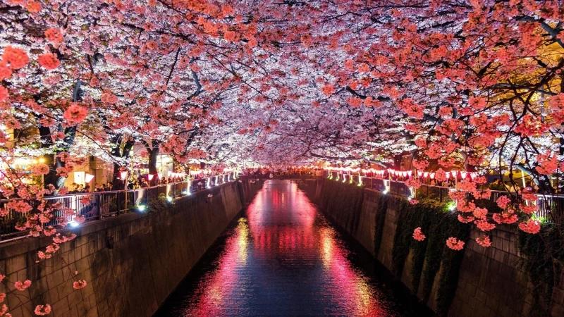 لیست بهترین جاهای دیدنی ژاپن و معرفی ۵ شهر مهم ژاپن